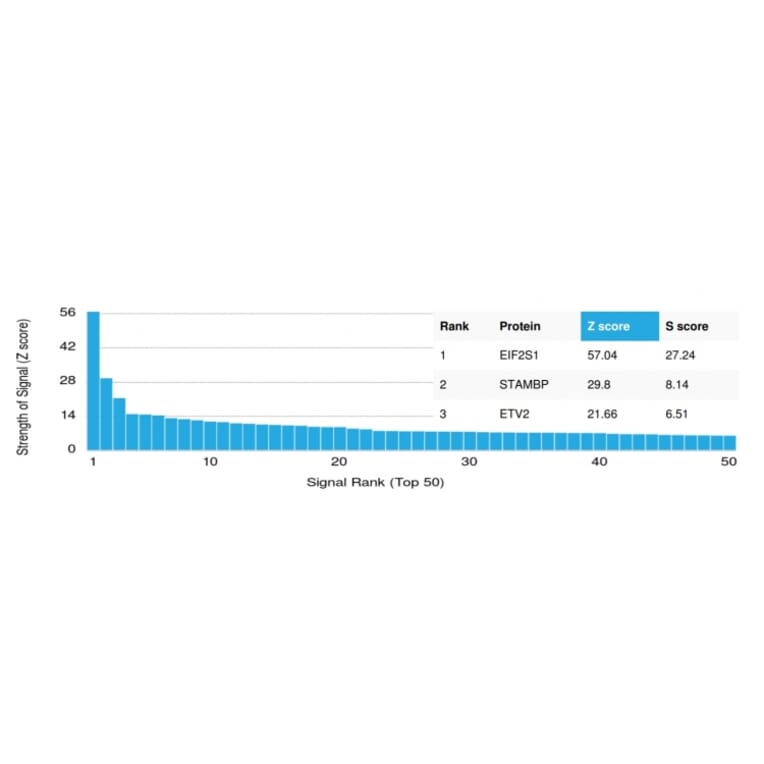 Protein Array - Anti-EIF2S1 Antibody [PCRP-EIF2S1-1C11] (A248412) - Antibodies.com