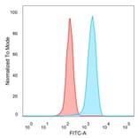 Flow Cytometry - Anti-EIF2S1 Antibody [PCRP-EIF2S1-1E2] (A248414) - Antibodies.com