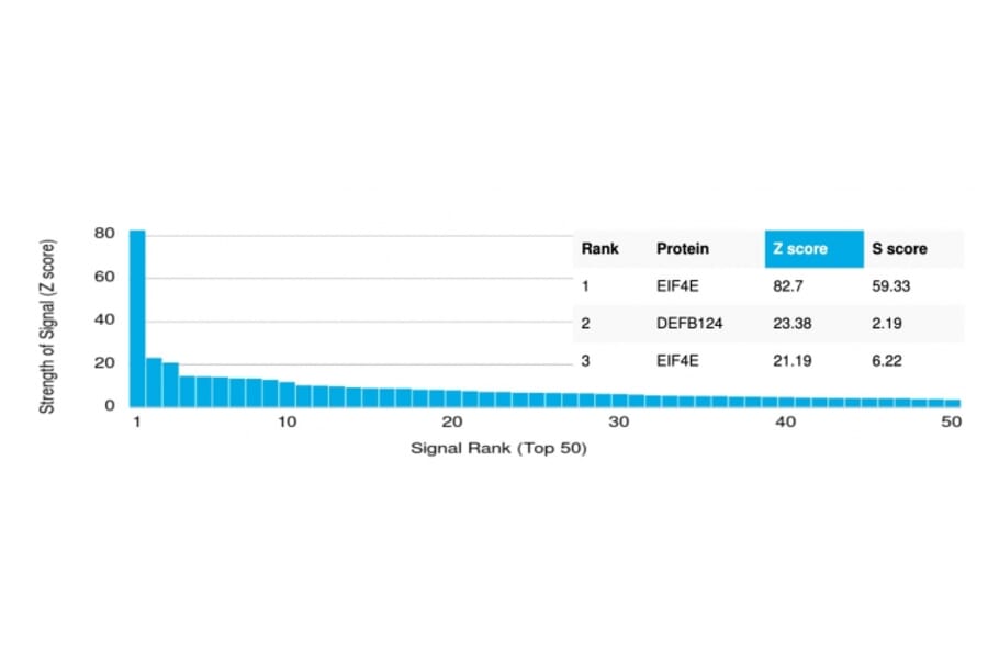 Protein Array - Anti-EIF4E Antibody [PCRP-EIF4E-1D3] (A248415) - Antibodies.com