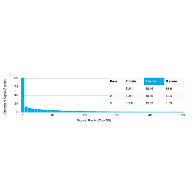 Protein Array - Anti-ELK1 Antibody [PCRP-ELK1-1D9] (A248420) - Antibodies.com