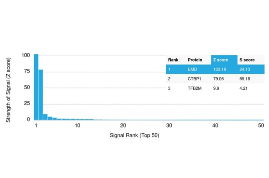 Protein Array - Anti-Emerin Antibody [EMD/2167] (A248424) - Antibodies.com