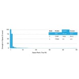 Protein Array - Anti-Emerin Antibody [EMD/2167] (A248424) - Antibodies.com