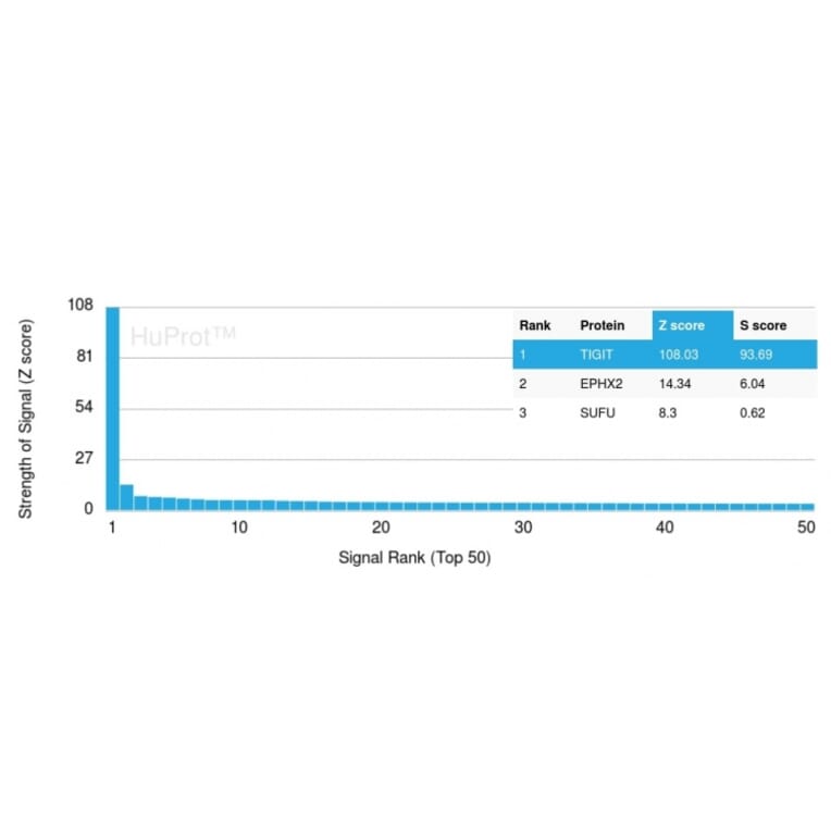 Protein Array - Anti-TIGIT Antibody [TIGIT/3017] (A248427) - Antibodies.com