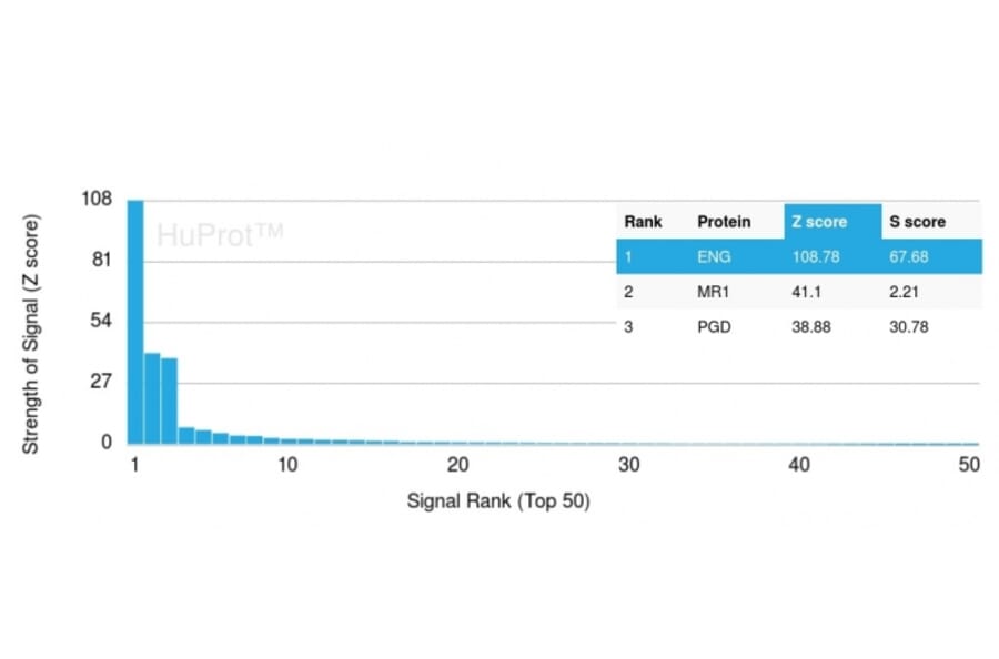 Protein Array - Anti-CD105 Antibody [ENG/3269] (A248431) - Antibodies.com