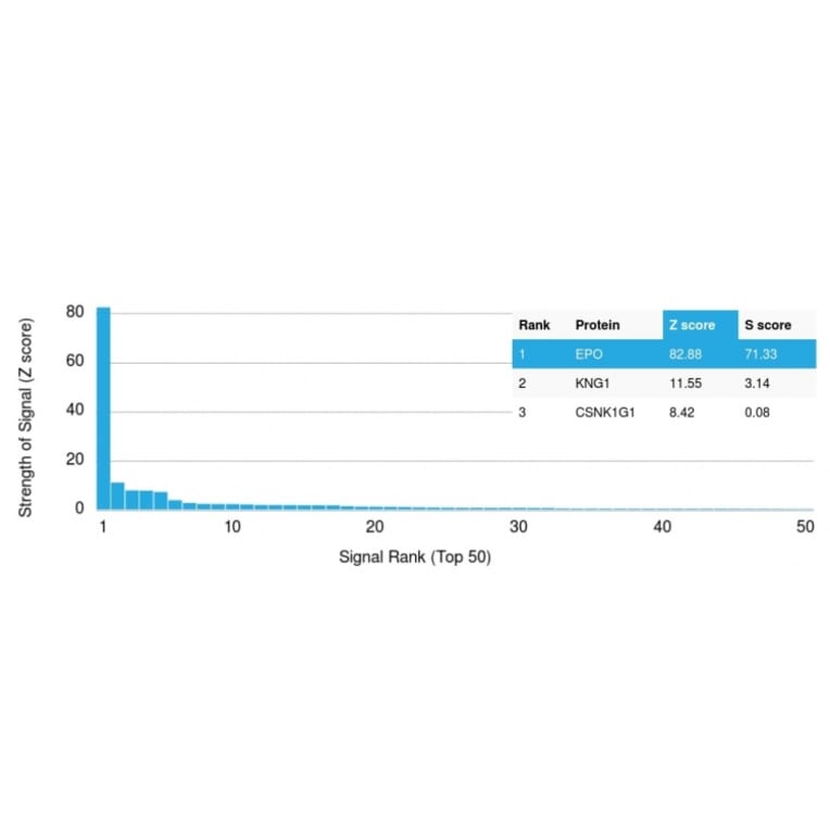 Protein Array - Anti-EPO Antibody [EPO/1368] (A248439) - Antibodies.com