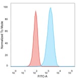 Flow Cytometry - Anti-HER2 Antibody [HRB2/282] (A248454) - Antibodies.com
