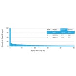 Protein Array - Anti-Estrogen Receptor alpha Antibody [ESR1/1935] (A248471) - Antibodies.com