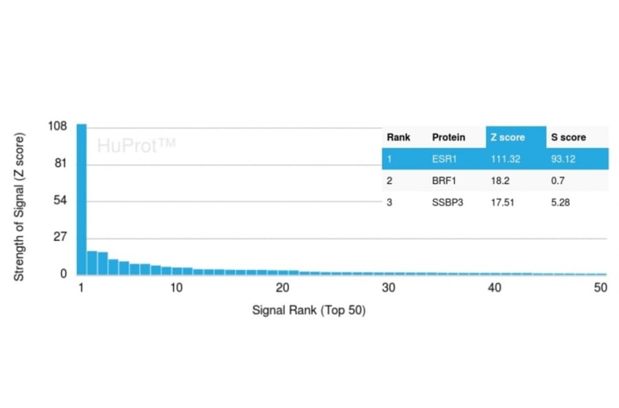 Protein Array - Anti-Estrogen Receptor alpha Antibody [ESR1/3342] (A248475) - Antibodies.com