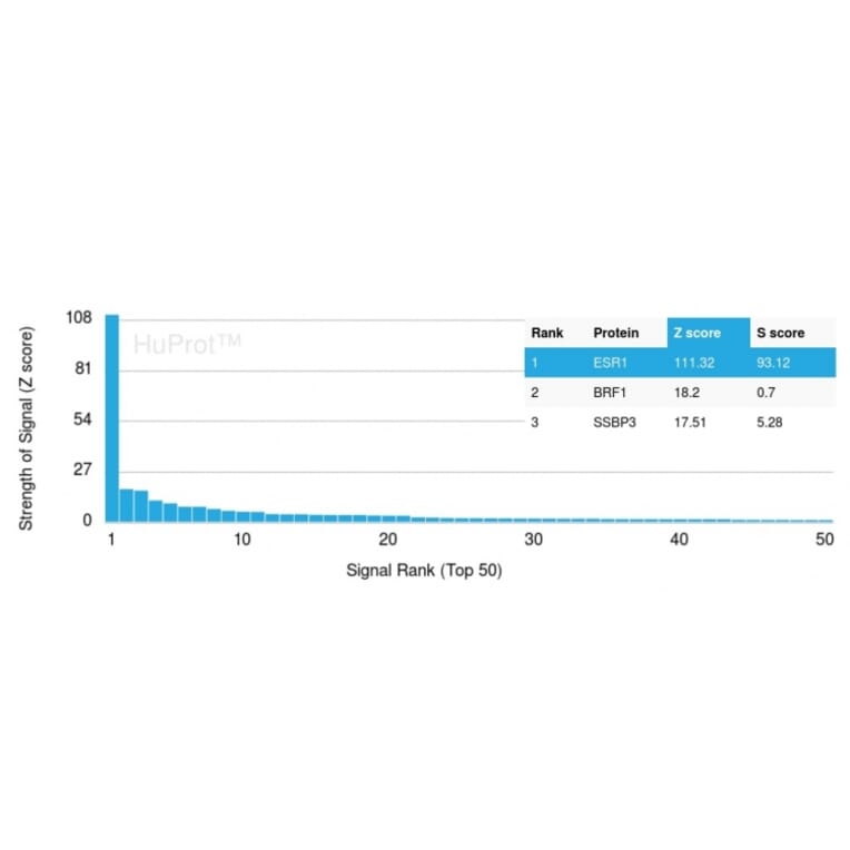 Protein Array - Anti-Estrogen Receptor alpha Antibody [ESR1/3342] (A248475) - Antibodies.com