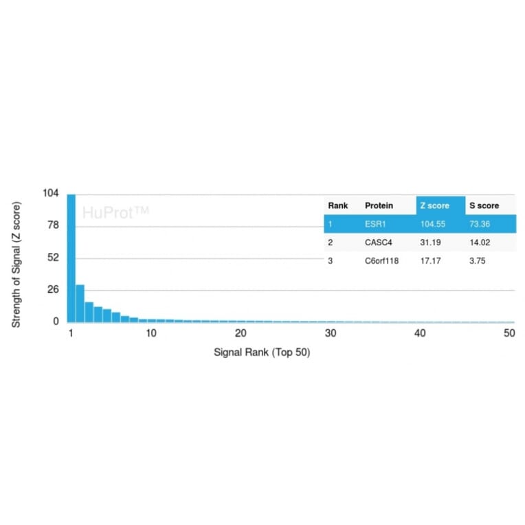 Protein Array - Anti-Estrogen Receptor alpha Antibody [ESR1/3373] (A248476) - Antibodies.com