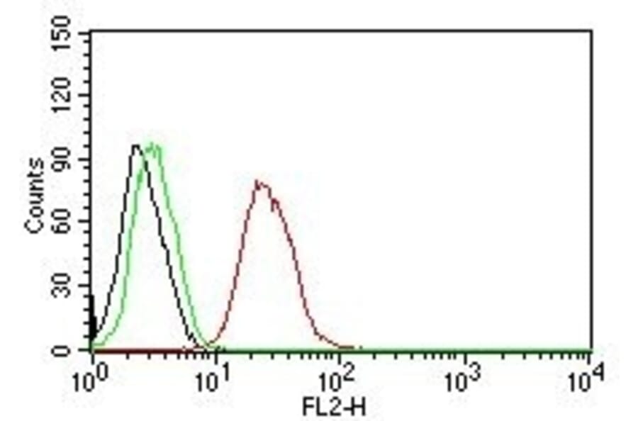 Flow Cytometry - Anti-Estrogen Receptor beta 1 Antibody [ERb455] (A248490) - Antibodies.com
