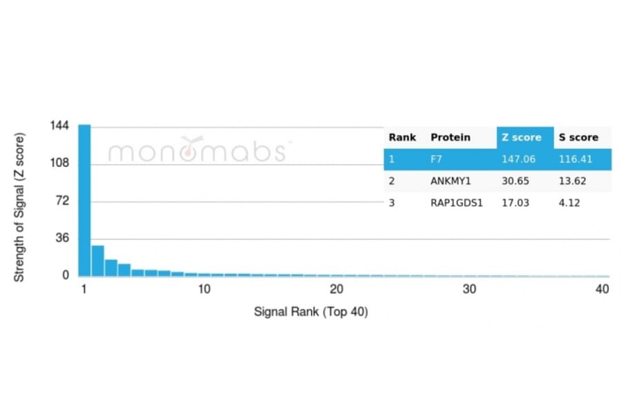 Protein Array - Anti-Coagulation Factor VII Antibody [F7/3511] (A248506) - Antibodies.com