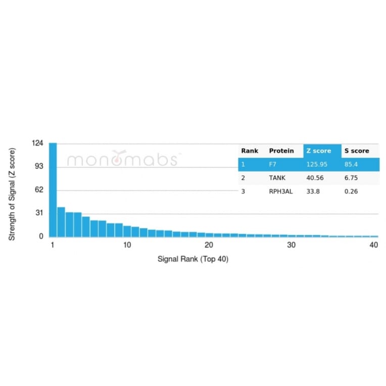 Protein Array - Anti-Coagulation Factor VII Antibody [F7/3516] (A248508) - Antibodies.com