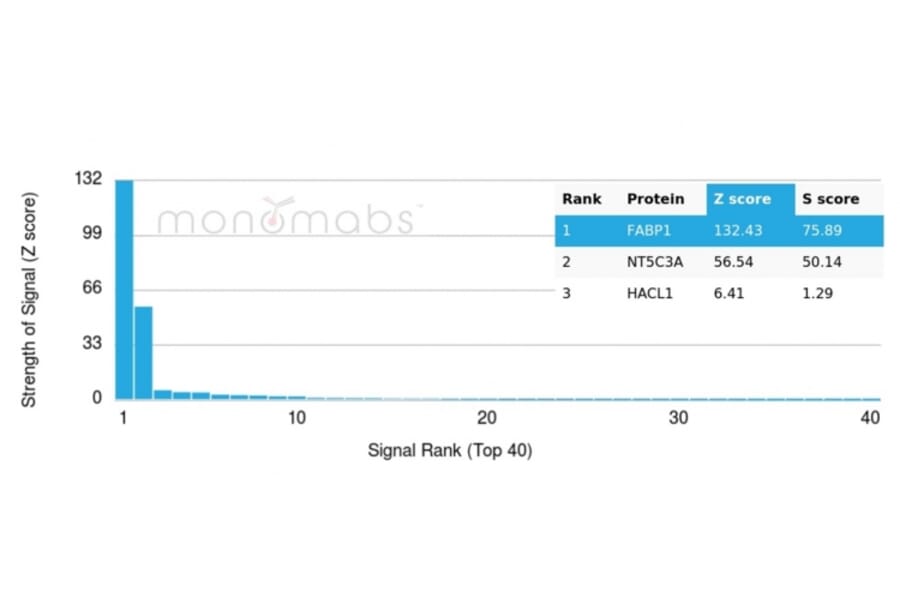 Protein Array - Anti-FABP1 Antibody [FABP1/3482] (A248515) - Antibodies.com