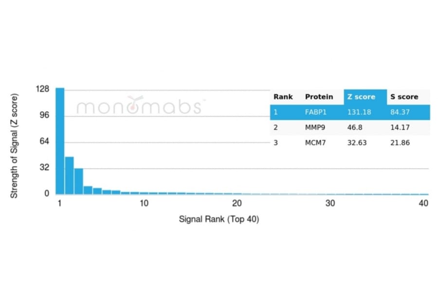 Protein Array - Anti-FABP1 Antibody [FABP1/3483] (A248516) - Antibodies.com