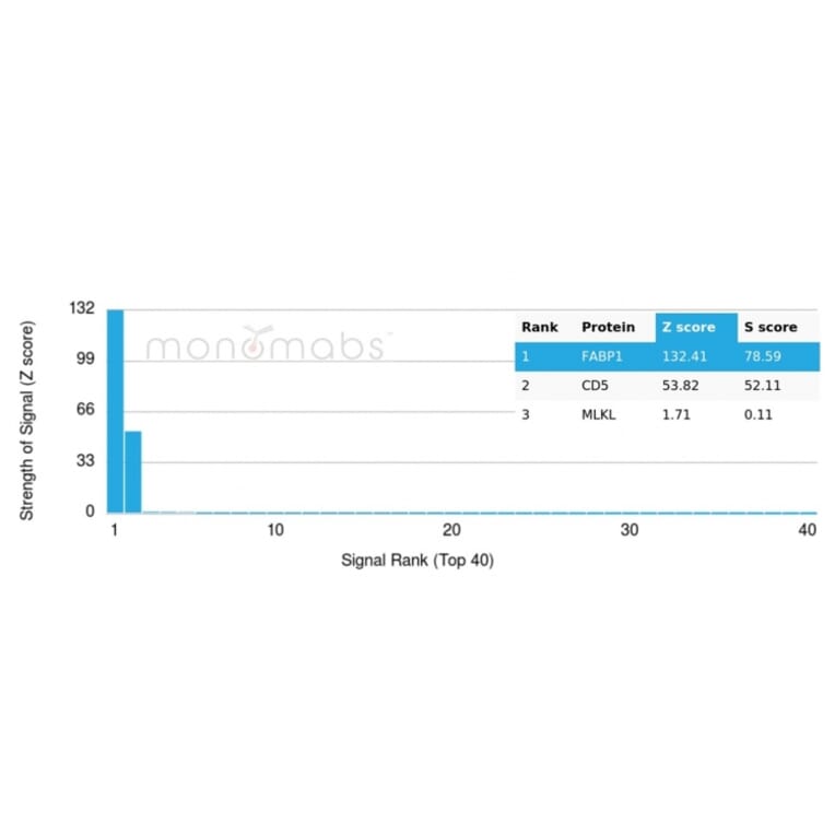 Protein Array - Anti-FABP1 Antibody [FABP1/3486] (A248518) - Antibodies.com