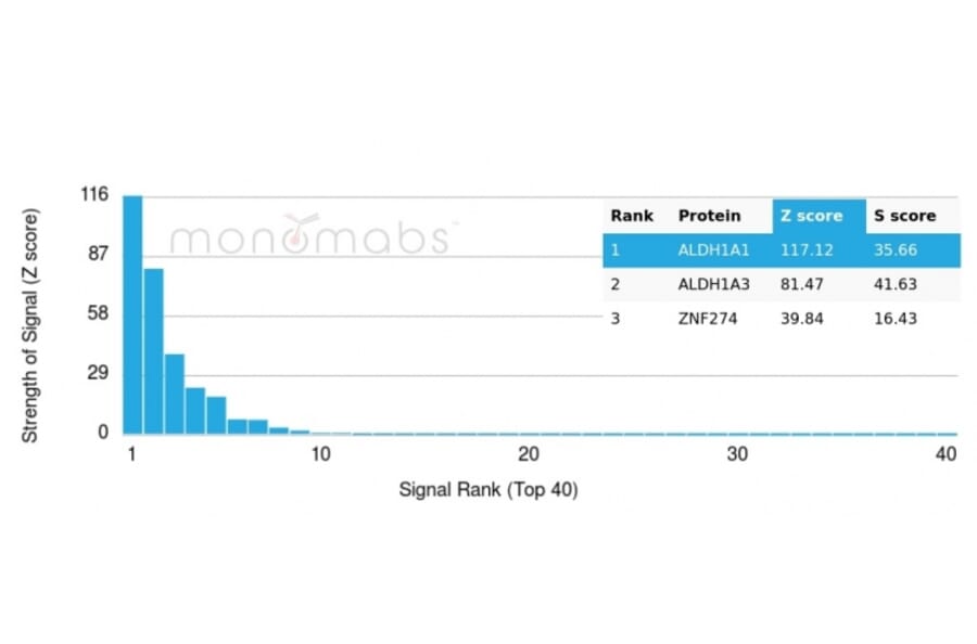 Protein Array - Anti-ALDH1A1 Antibody [ALDH1A1/4793] (A248522) - Antibodies.com