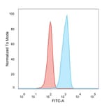 Flow Cytometry - Anti-TCF25 Antibody [PCRP-TCF25-1A11] (A248541) - Antibodies.com
