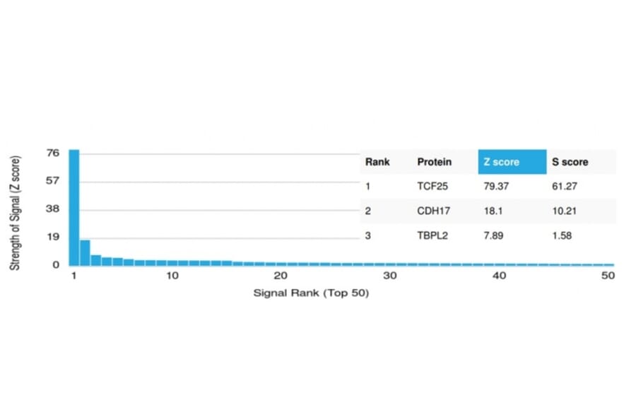 Protein Array - Anti-TCF25 Antibody [PCRP-TCF25-1F12] (A248541) - Antibodies.com