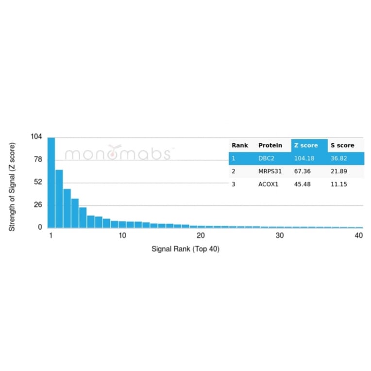 Protein Array - Anti-DBC2 Antibody [DBC2/3362] (A248571) - Antibodies.com
