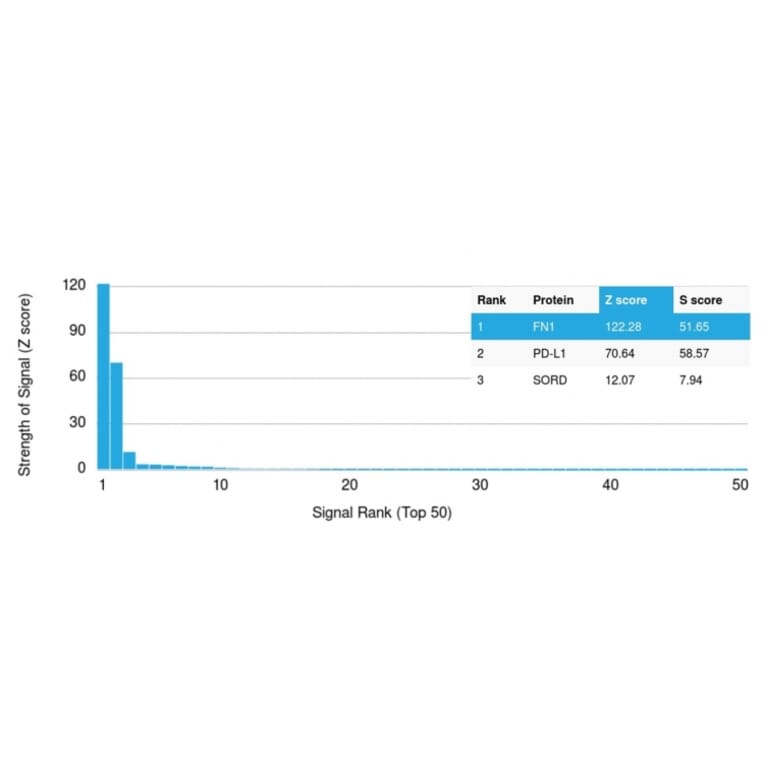 Protein Array - Anti-Fibronectin Antibody [FN1/2950] (A248578) - Antibodies.com