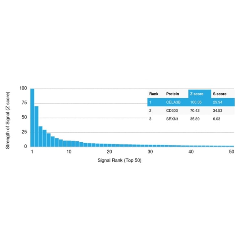 Protein Array - Anti-CELA3B Antibody [CELA3B/1757] (A248598) - Antibodies.com