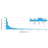 Protein Array - Anti-CELA3B Antibody [CELA3B/1757] (A248598) - Antibodies.com