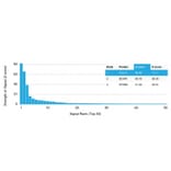 Protein Array - Anti-PSMA Antibody [FOLH1/2354] (A248603) - Antibodies.com