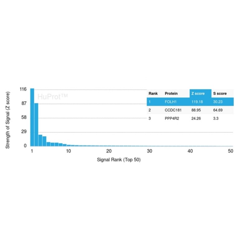Protein Array - Anti-PSMA Antibody [FOLH1/3734] (A248606) - Antibodies.com