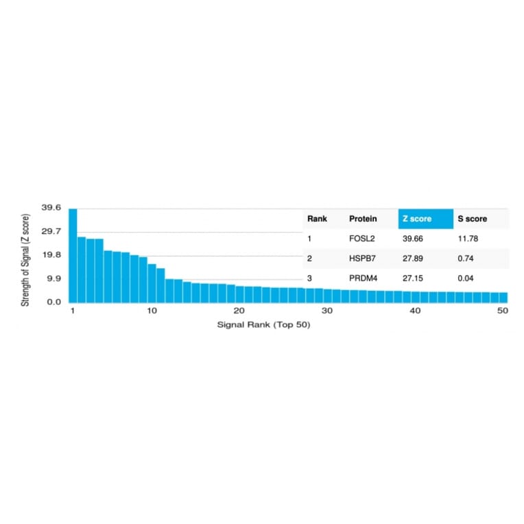 Protein Array - Anti-FRA2 Antibody [PCRP-FOSL2-1B1] (A248609) - Antibodies.com