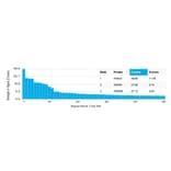 Protein Array - Anti-FRA2 Antibody [PCRP-FOSL2-1B1] (A248609) - Antibodies.com