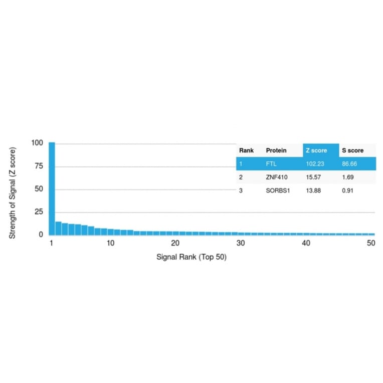 Protein Array - Anti-Ferritin Light Chain Antibody [FTL/1387] (A248646) - Antibodies.com