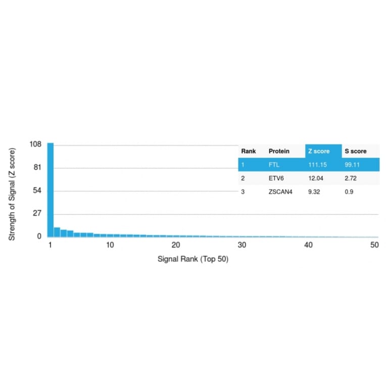 Protein Array - Anti-Ferritin Light Chain Antibody [FTL/1389] (A248648) - Antibodies.com