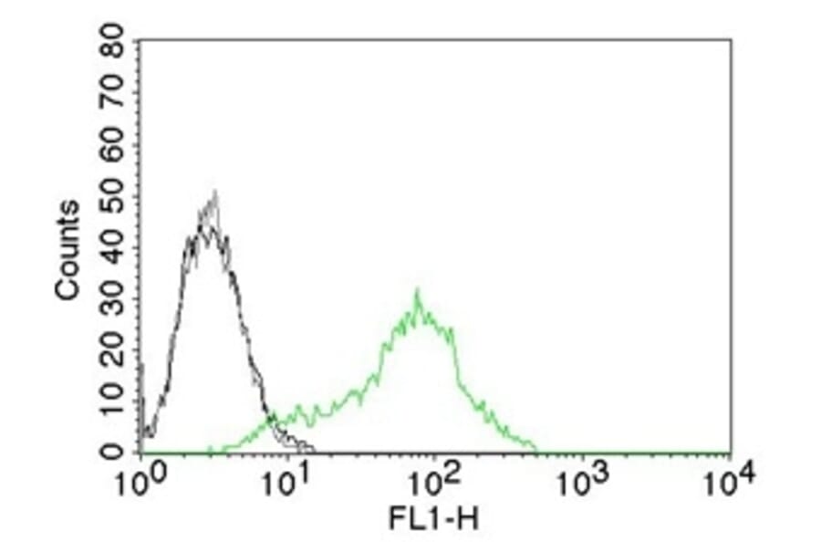 Flow Cytometry - Anti-Ku70 Antibody [KU729] (A248672) - Antibodies.com