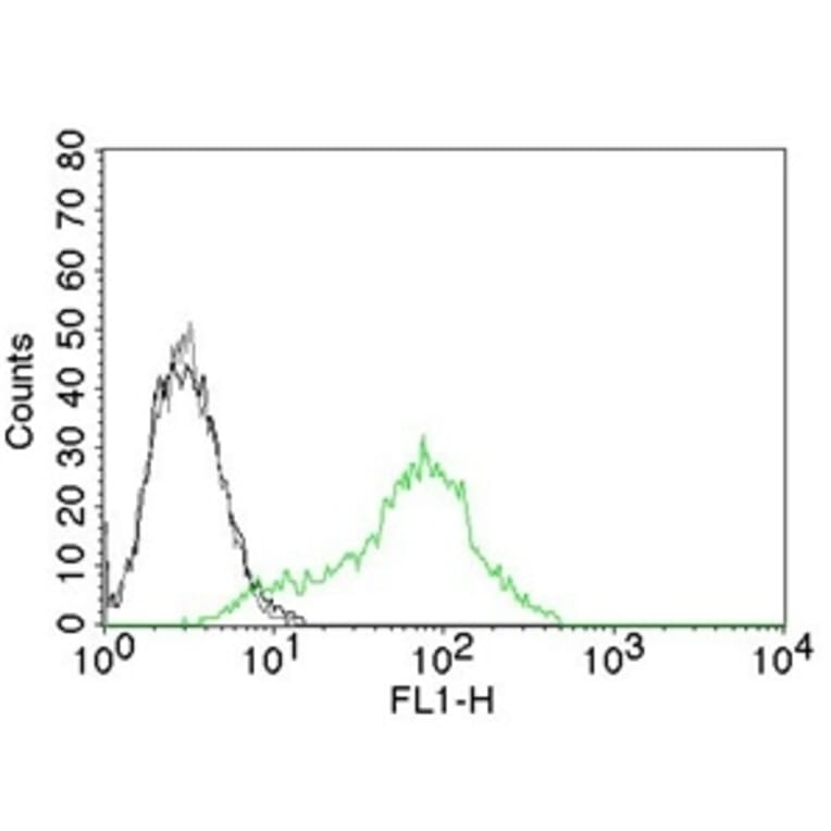 Flow Cytometry - Anti-Ku70 Antibody [KU729] (A248672) - Antibodies.com