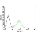 Flow Cytometry - Anti-Ku70 Antibody [KU729] (A248672) - Antibodies.com