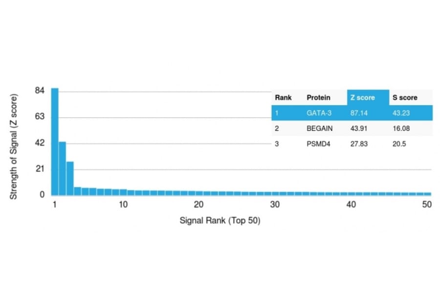 Protein Array - Anti-GATA3 Antibody [GATA3/2688] (A248698) - Antibodies.com