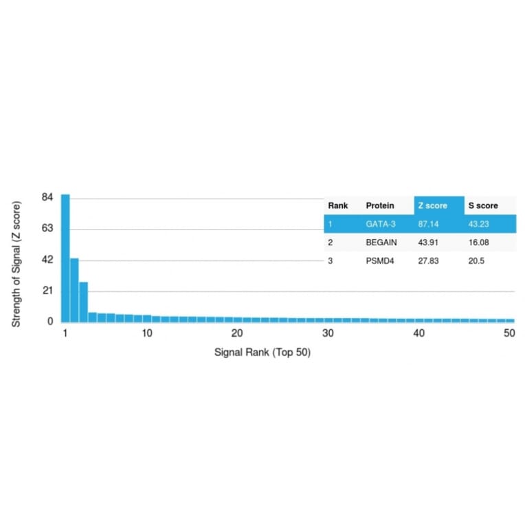 Protein Array - Anti-GATA3 Antibody [GATA3/2688] (A248698) - Antibodies.com