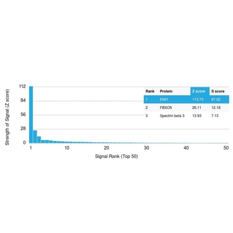 Protein Array - Anti-EMI1 Antibody [EMI1/1176] (A248699) - Antibodies.com