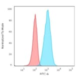Flow Cytometry - Anti-GFAP Antibody [rASTRO/789] (A248710) - Antibodies.com