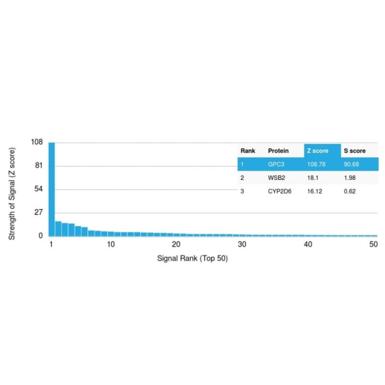 Protein Array - Anti-Glypican 3 Antibody [rGPC3/863] (A248730) - Antibodies.com