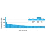 Protein Array - Anti-Glyoxalase 1 Antibody [CPTC-GLO1-1] (A254317) - Antibodies.com