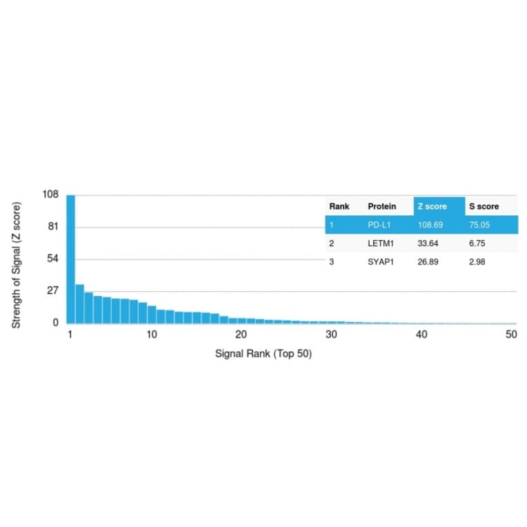 Protein Array - Anti-PD-L1 Antibody [PDL1/2745] (A248771) - Antibodies.com
