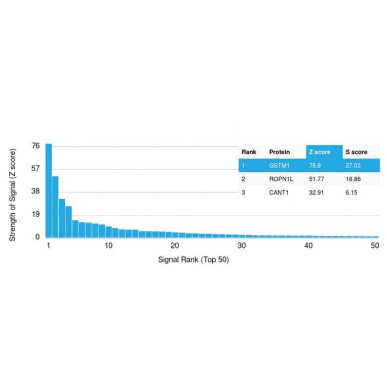 Protein Array - Anti-Glutathione S Transferase Mu 1 Antibody [CPTC-GSTMu1-3] (A248775) - Antibodies.com
