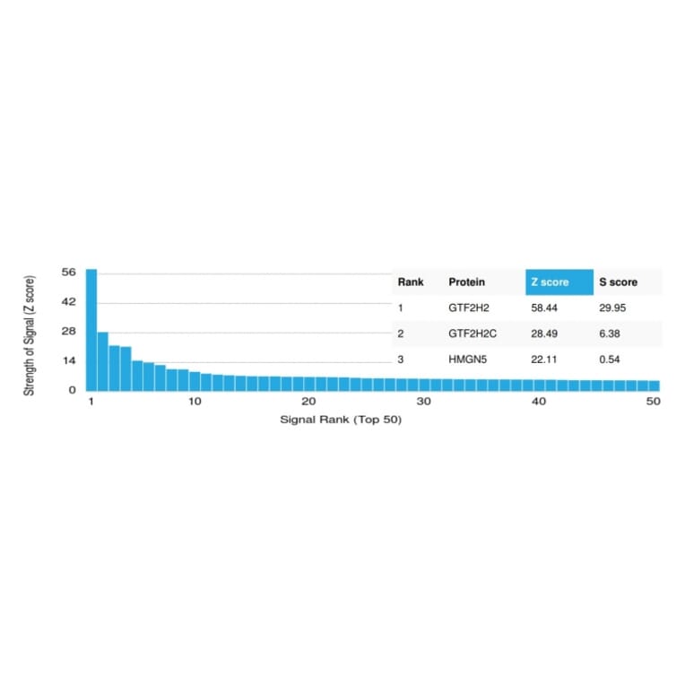 Protein Array - Anti-GTF2H2 Antibody [PCRP-GTF2H2-1B9] (A248787) - Antibodies.com