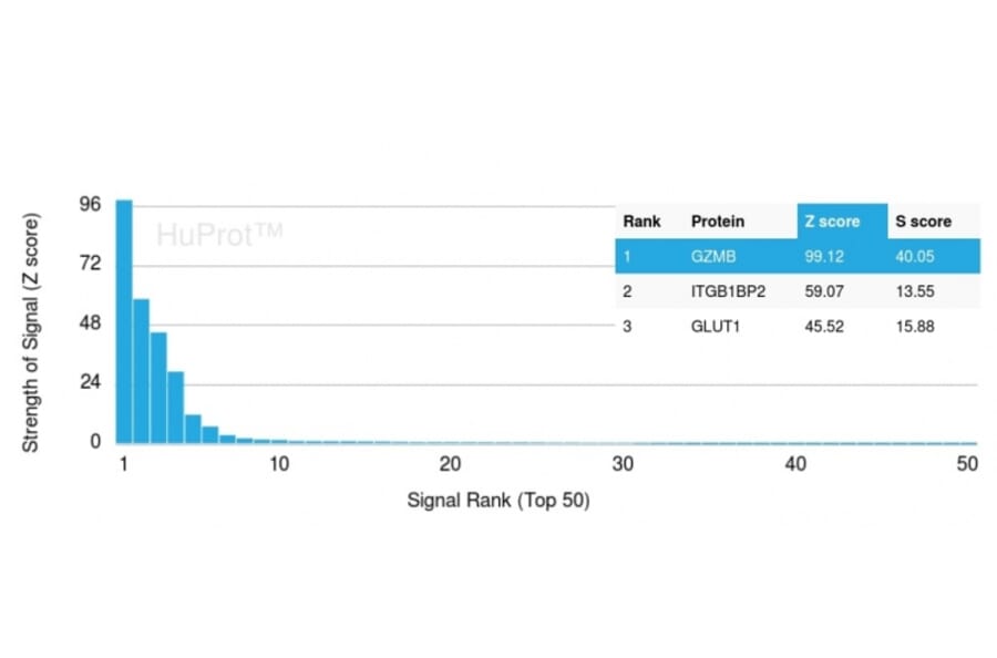 Protein Array - Anti-Granzyme B Antibody [GZMB/3056] (A248800) - Antibodies.com