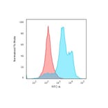 Flow Cytometry - Anti-Histone H1 Antibody [HH1/1784R] (A248807) - Antibodies.com