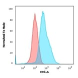 Flow Cytometry - Anti-Annexin A1 Antibody [ANXA1/1672] (A248812) - Antibodies.com