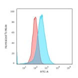 Flow Cytometry - Anti-Annexin A1 Antibody [5E4/1] (A248815) - Antibodies.com