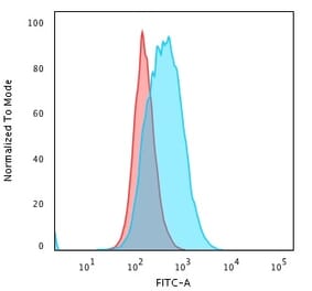 Flow Cytometry - Anti-HLA DP Antibody [SPM421] (A248838) - Antibodies.com